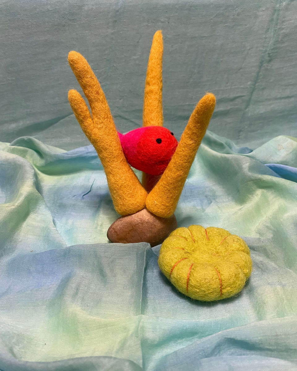 Balloonfish & Coral Bundle – The Pixie Patch