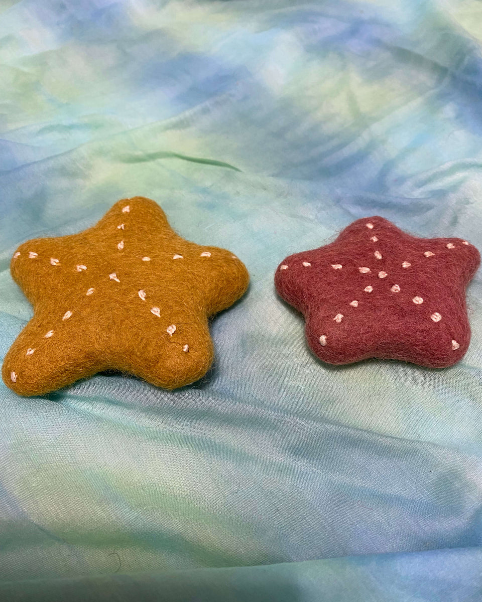 Bat Starfish – The Pixie Patch