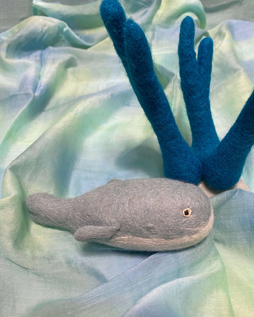 Blue Whale – The Pixie Patch